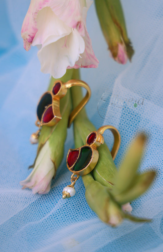 red n green duck bugadi