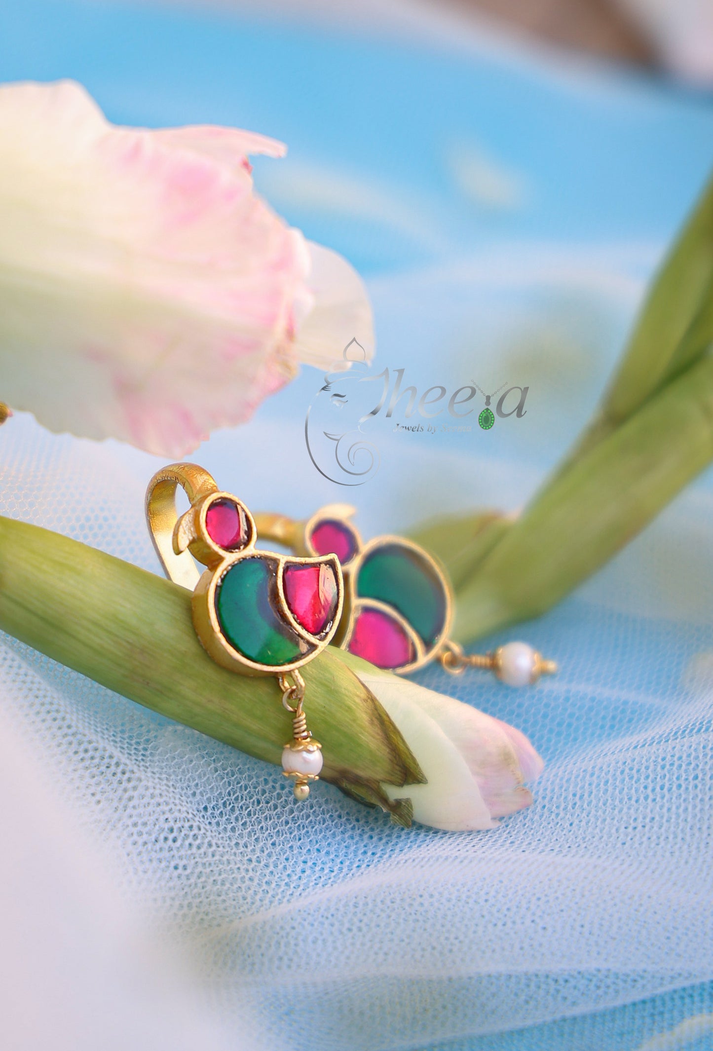 red n green duck bugadi