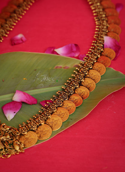 Temple Vilasam Long Kaasu Mala in Pure Silver, front view.
